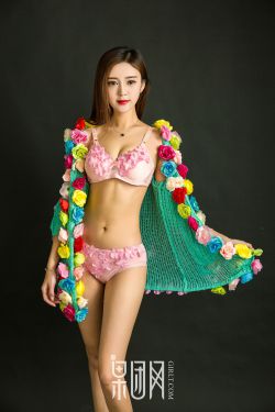 柳舟记电视剧1-40集全免费看